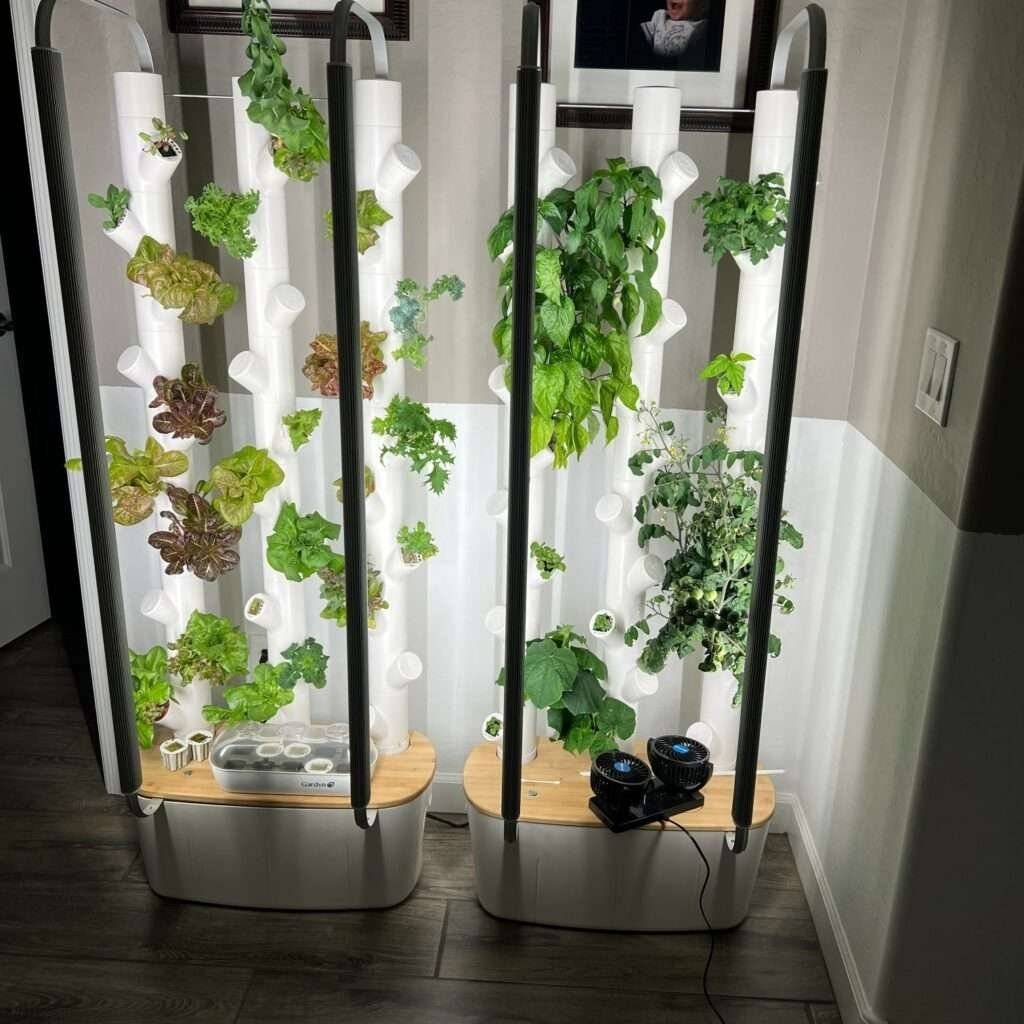 indoor gardening