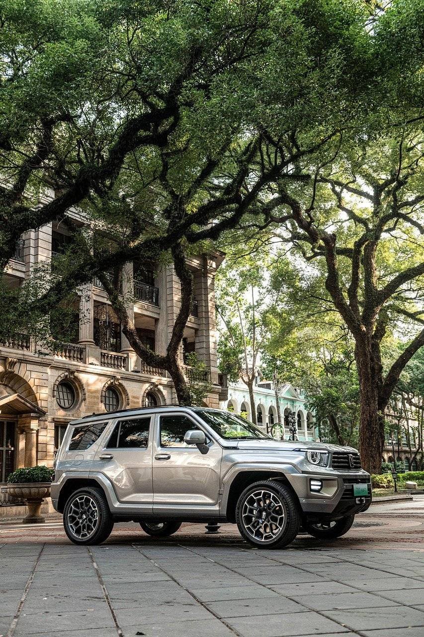 tank 700, great wall motor, tank suv, suv, automotive, 4×4, car wallpaper, green energy, landscape, new energy vehicles, hi4-t, gwm tank, phone wallpaper, gwm, hd wallpaper
